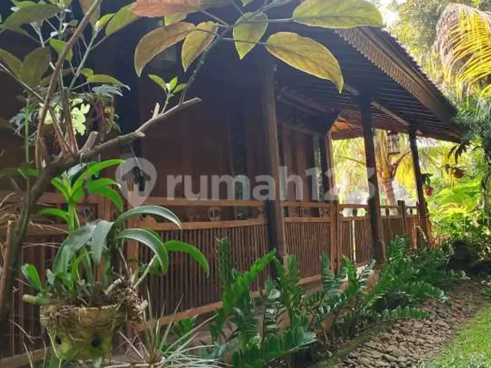 Rumah Joglo Halaman Taman Luas Di Hook Lokasi Kalibata