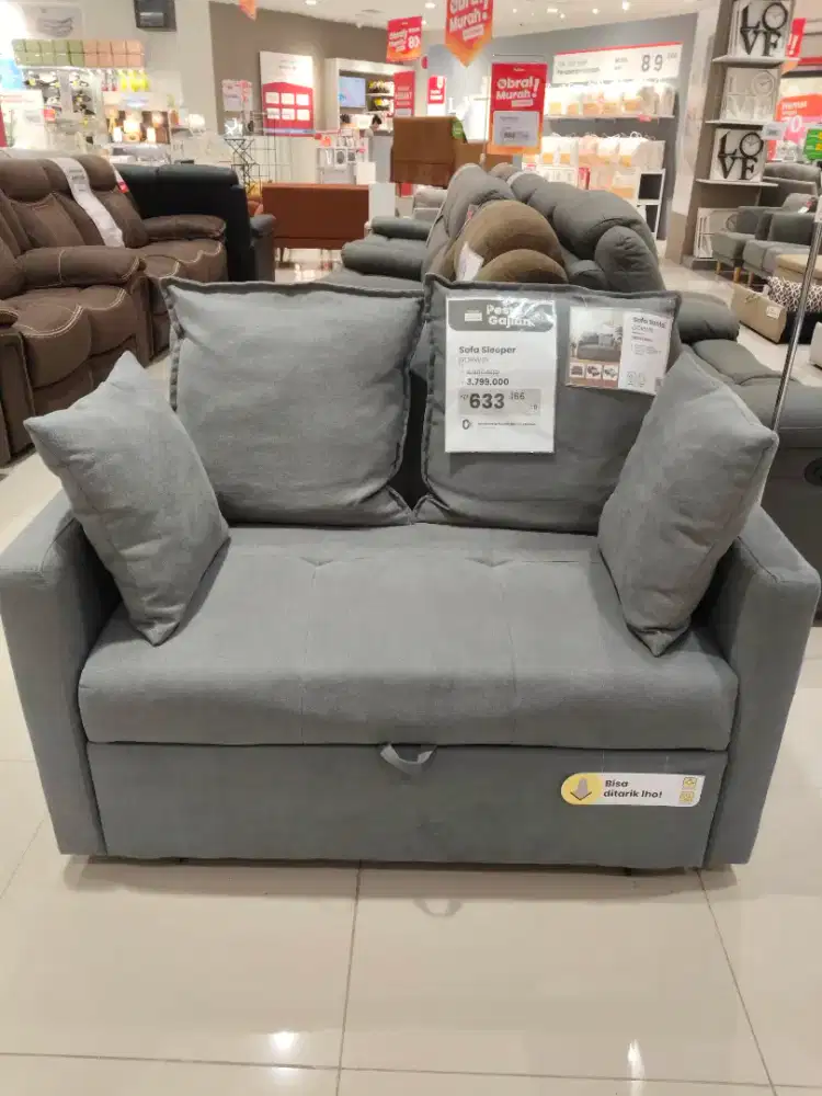 Gorwig sleeper sofa