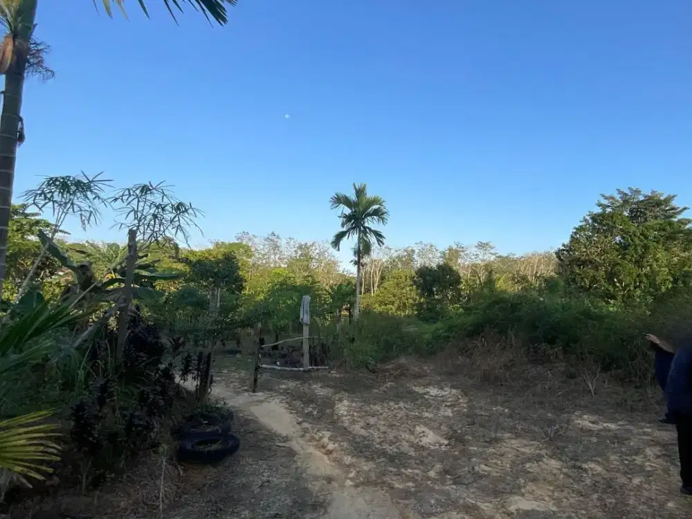 Tanah Dijual Mayang,  Dekat Univ Pondok Meja 300m²