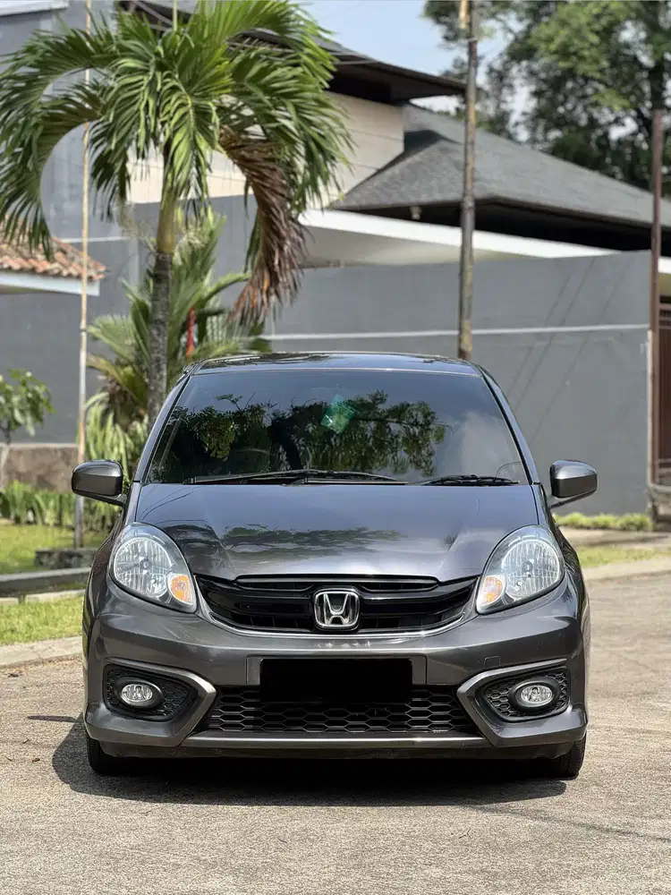 Brio E Manual 2017