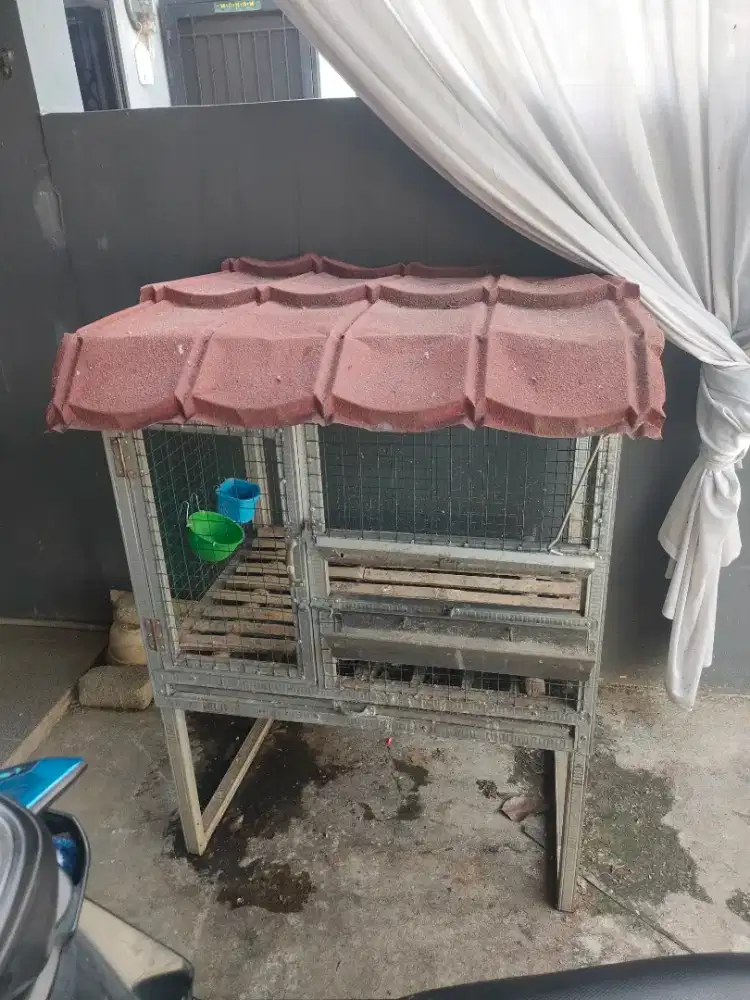 Jual Kandang Ayam Kondisi Layak Pakai
