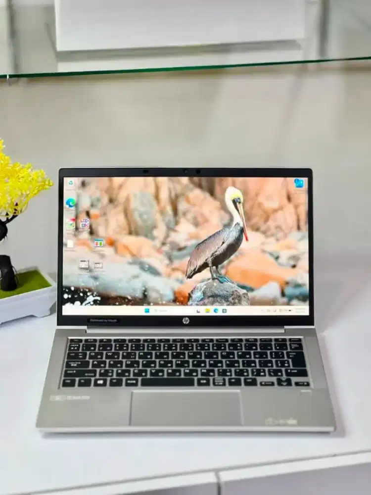 HP ProBook 635 G7 Ryzen 5