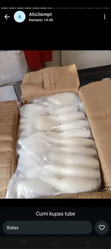 Frozen ikan Laut dan tawar