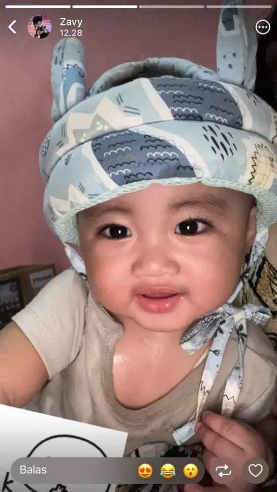 Baby sister harian