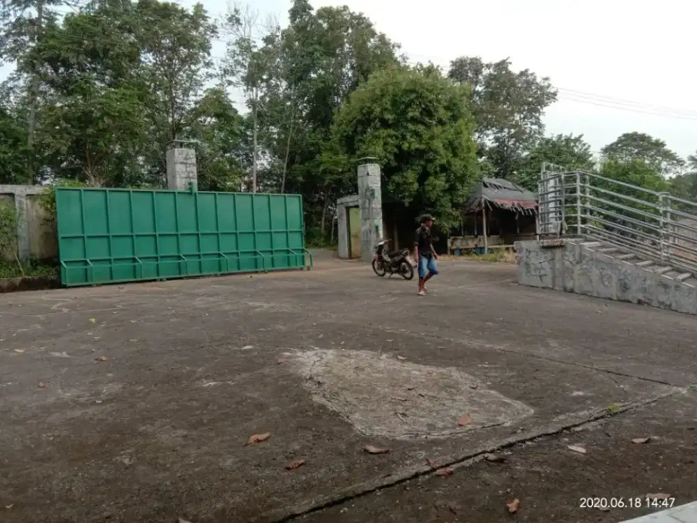 Peternakan sapi 700 ekor luas 1.5 ha
