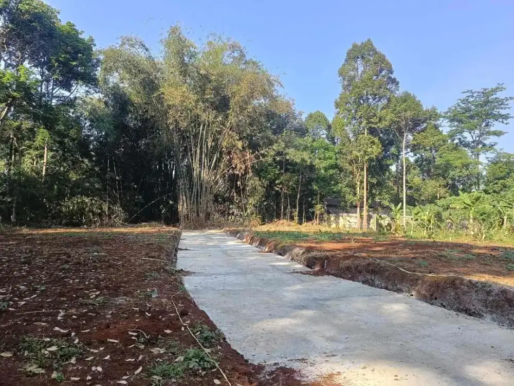 Tanah kavling murah di nongkosawit dekat Unwahas gunungpati