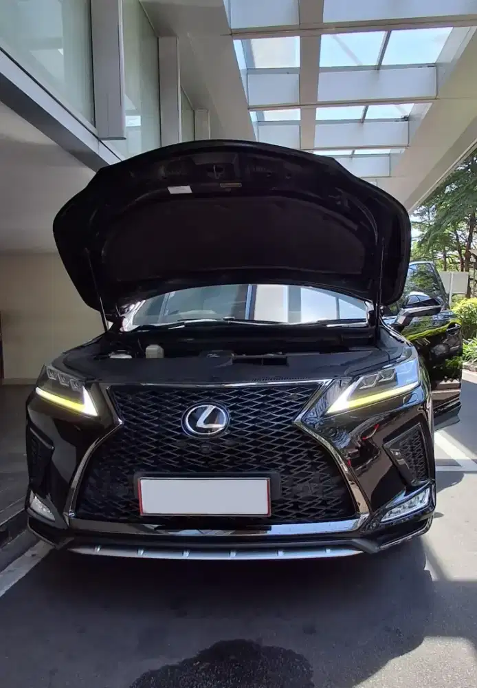 LEXUS RX300 F SPORT 2021 rx 300 t rx200t 2020