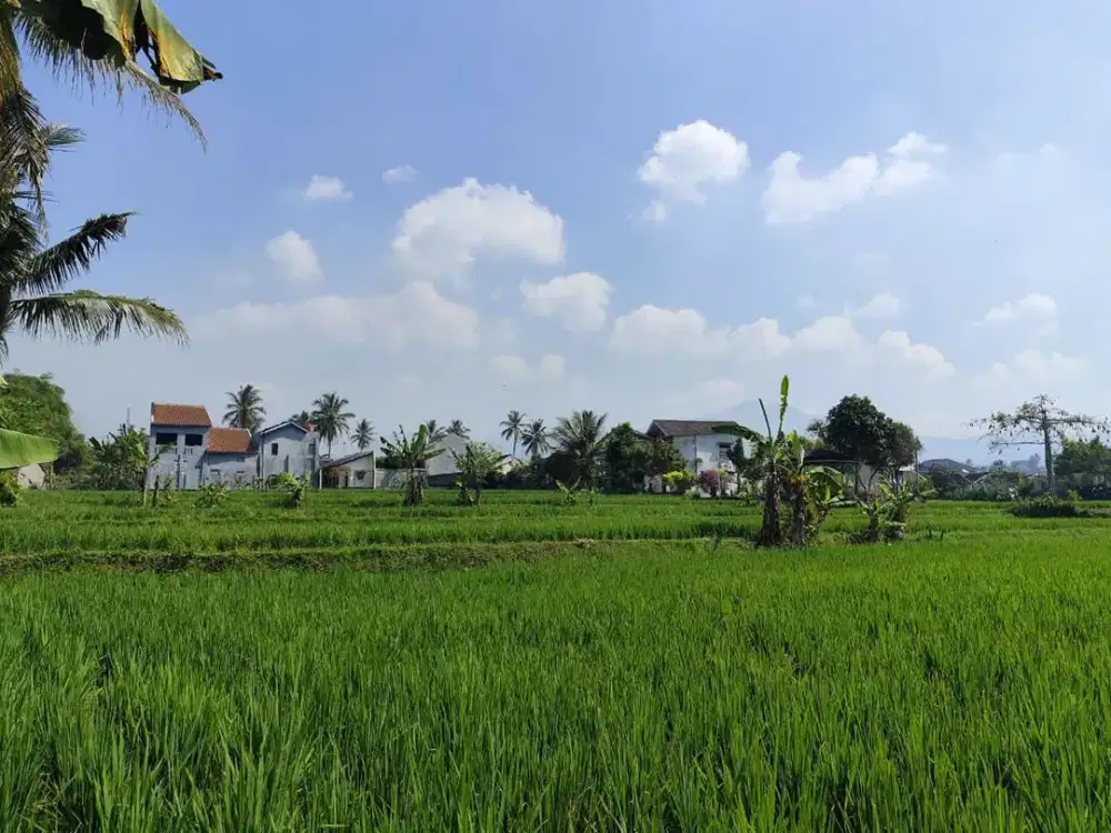 Sawah Produktif 4.002 M2 di Pusat Kota Cianjur Akses Strategis
