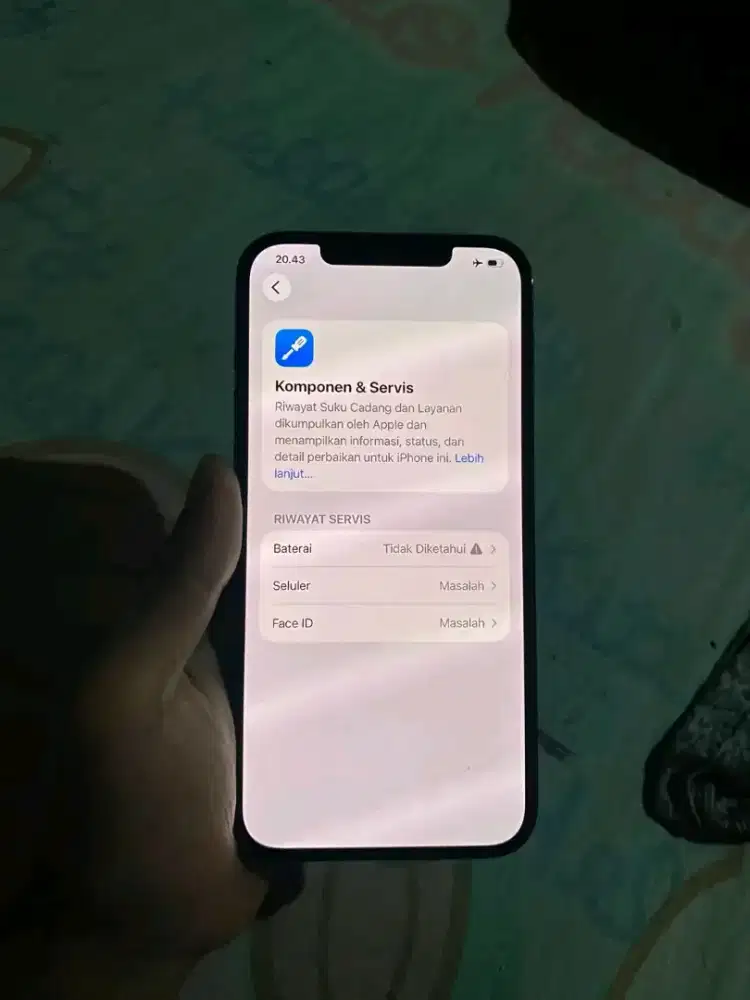 iPhone 12 pm 256