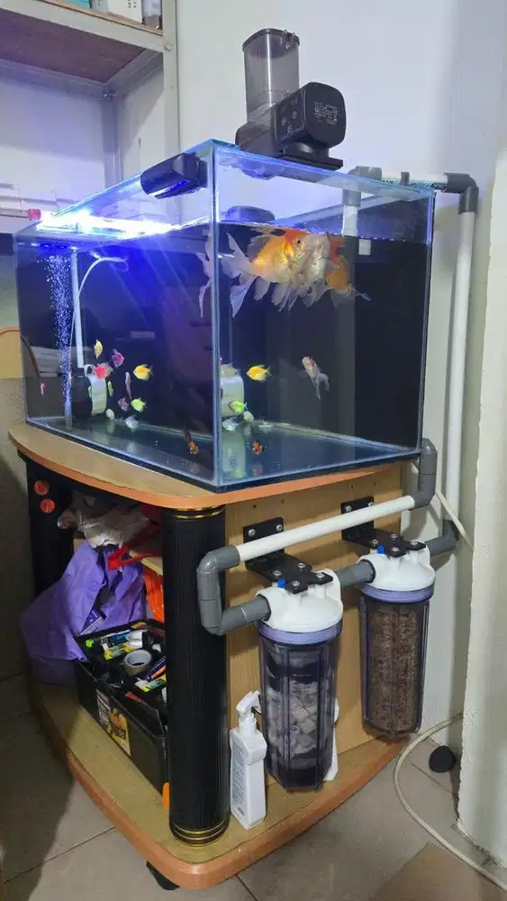 Aquarium di jual cepat.