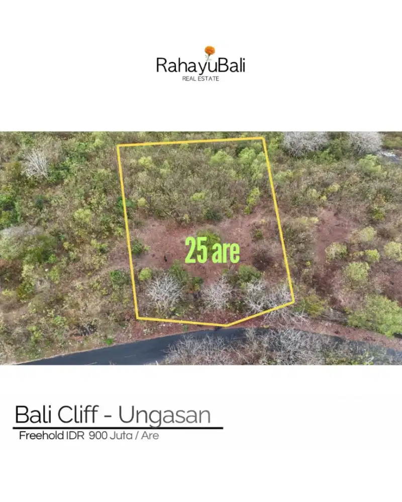Freehold Land with ocean view in ungasan
