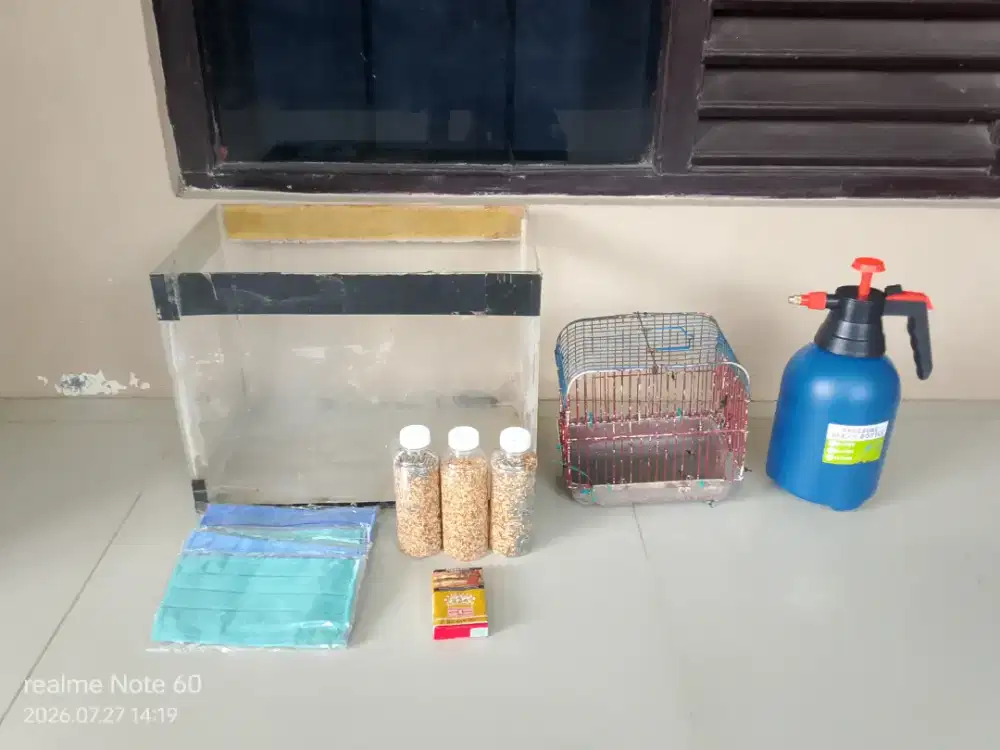 Borongan termurah