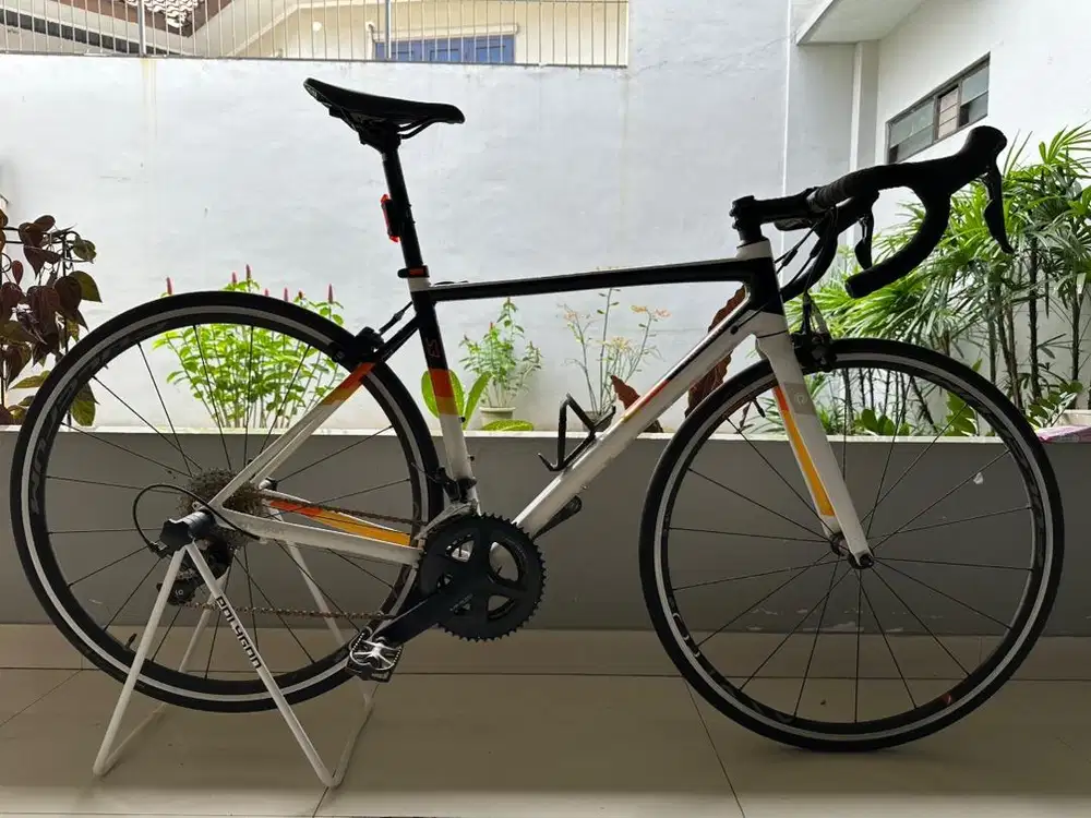 Polygon S3 Germany