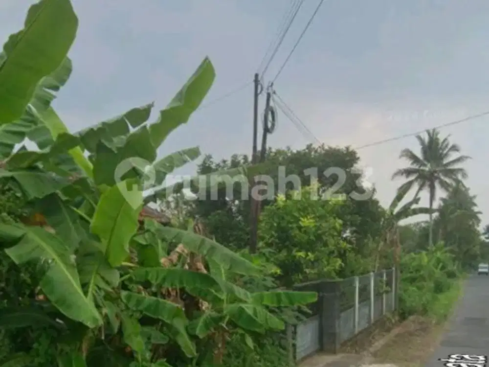 Dijual Tanah Sawah Bonus Bangunan Lokasi Donokerto Turi Sleman Yogyakarta