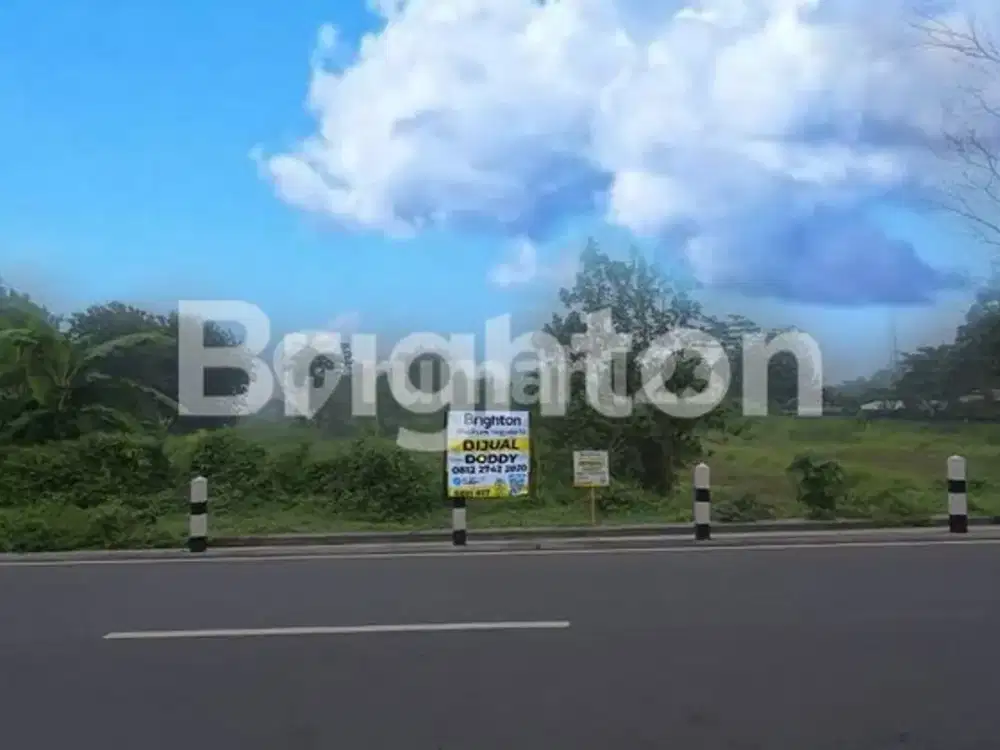 Tanah Komersil Jalan Kabupaten Sendangadi Daerahsleman Yogyakarta