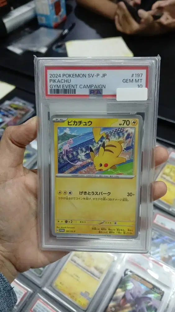 Pokemon Card Slab 2024 Pokemon SV-P JP Pikachu Gym Event Campaign