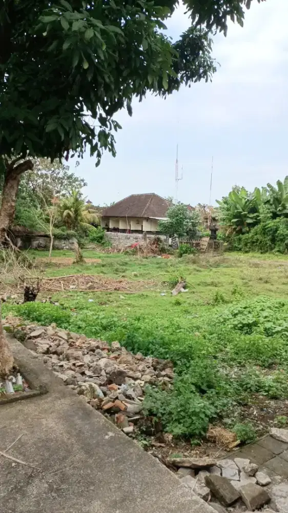 Down Price!! Dijual Tanah Jarang Ada 1,82 Are Munggu Canggu Bali