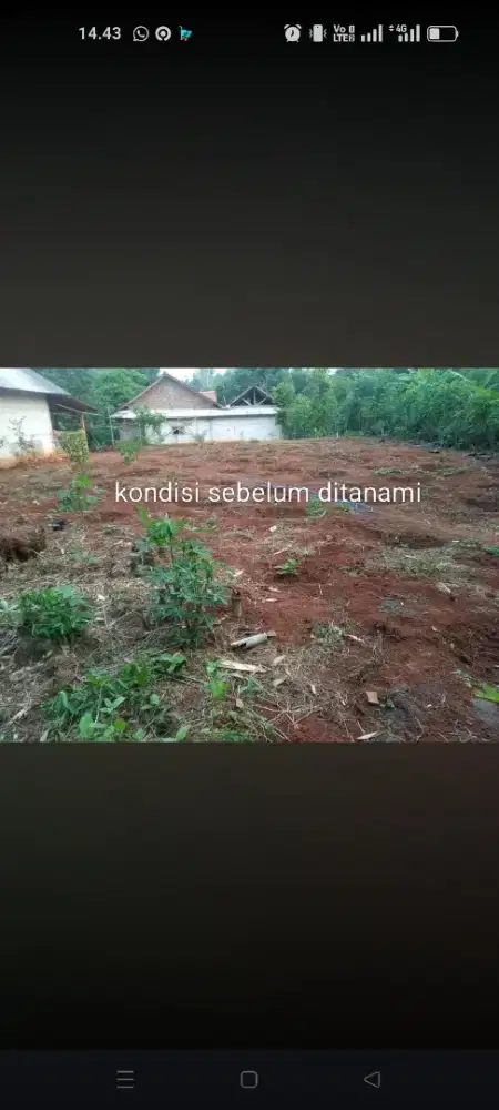 Tanah Darat Bebas Banjir untuk Investasi