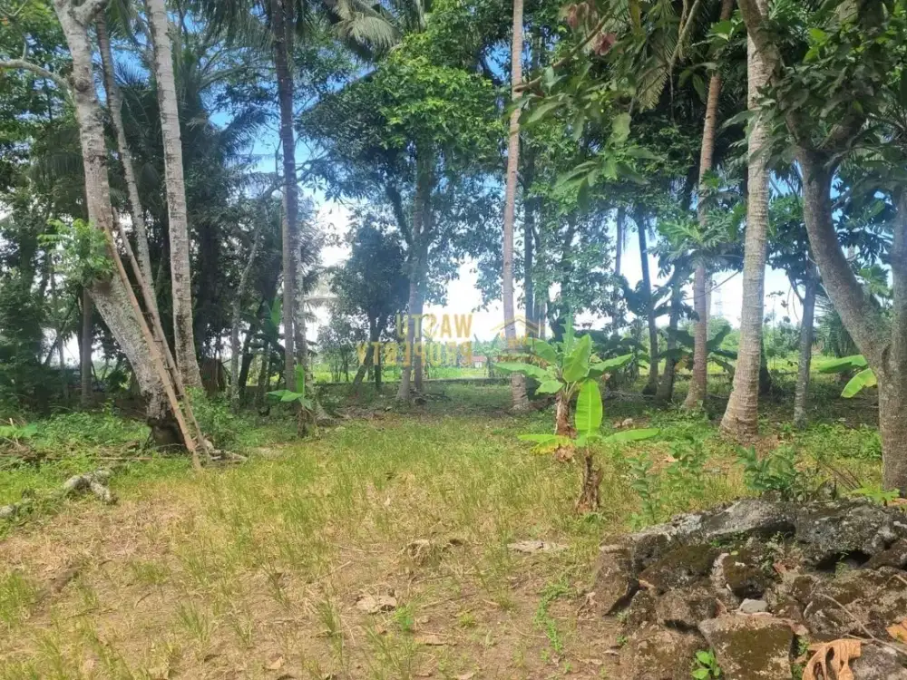 Tanah Murah Wates Kulon Progo Dekat Bandara YIA