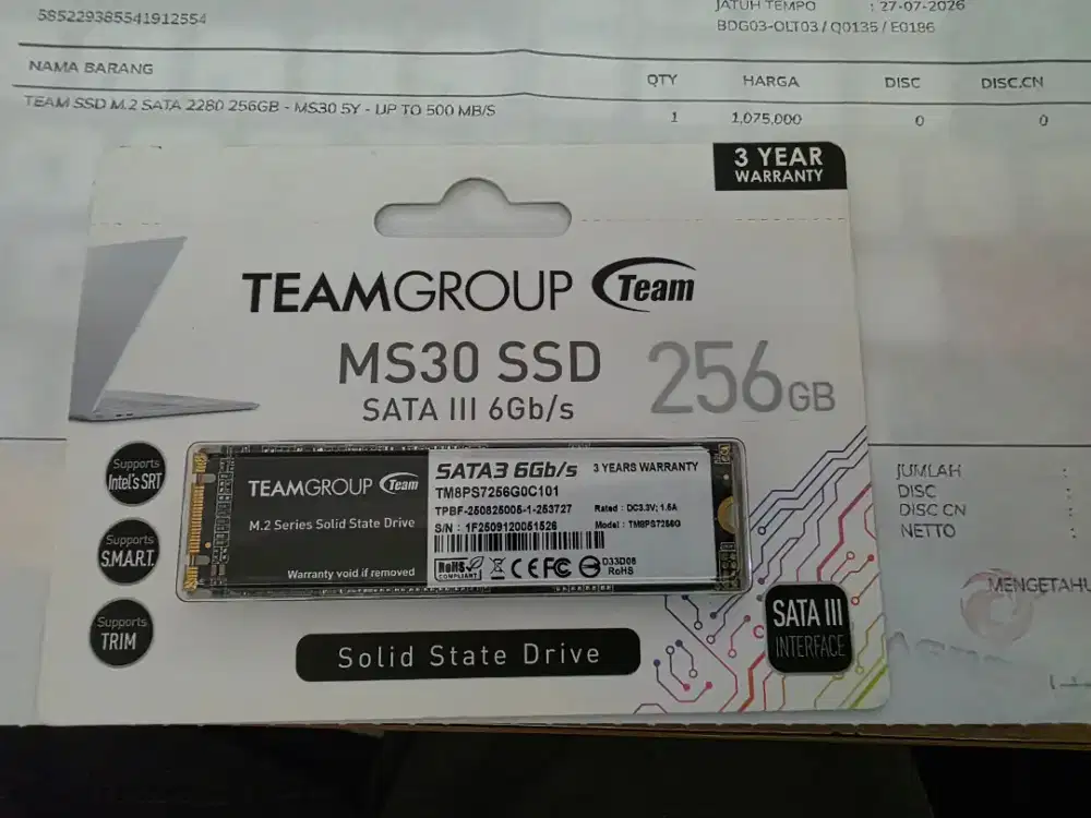 SDD M.2 Sata 256GB Merek Team MS30