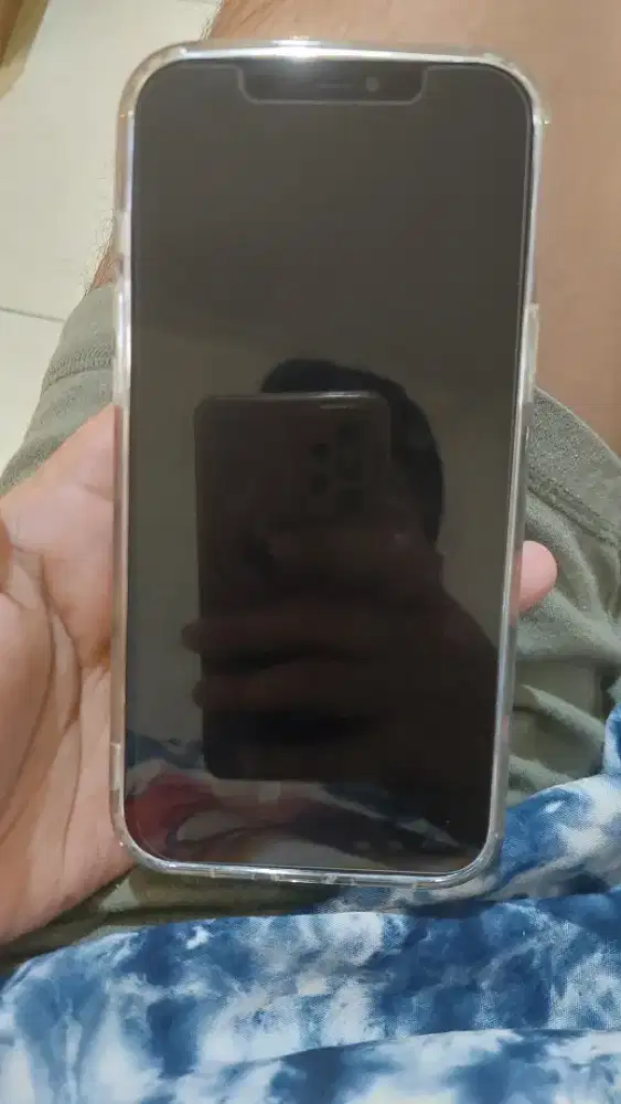 iphone 12 promax