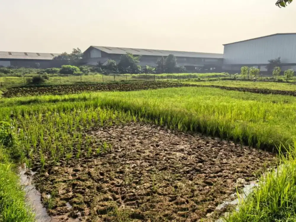 Peluang Investasi! Tanah Strategis Mekarjaya Curug Tangerang Legalitas Lengkap Rekomendasi Terbaik: