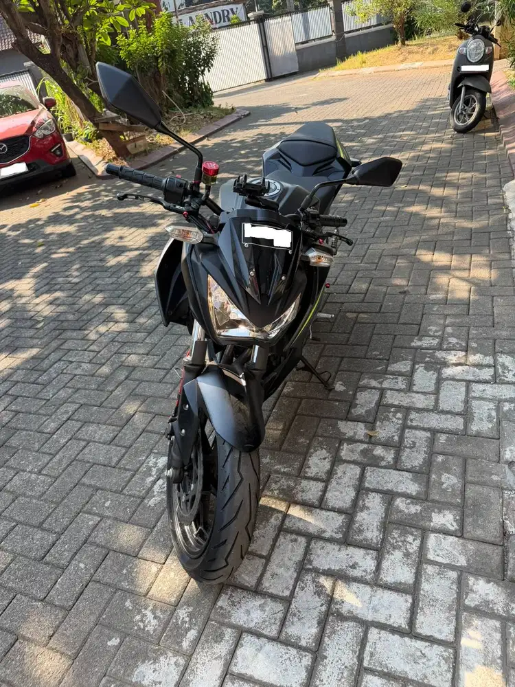 KAWASAKI Z250 FI 2018
