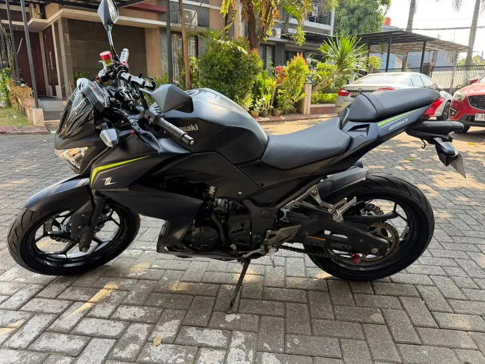 KAWASAKI Z250 FI 2018