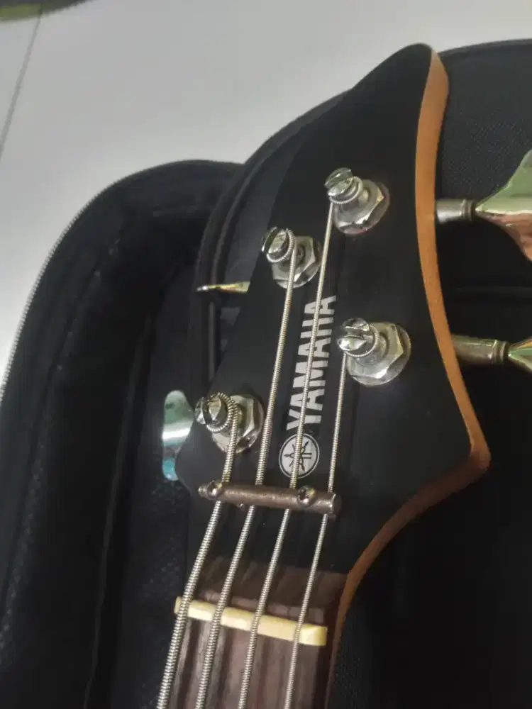 Gitar Bass RBX270J Original