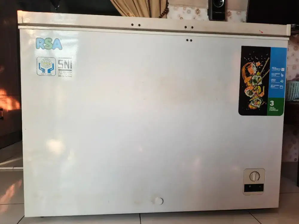 Frezzer box RSA 310L
