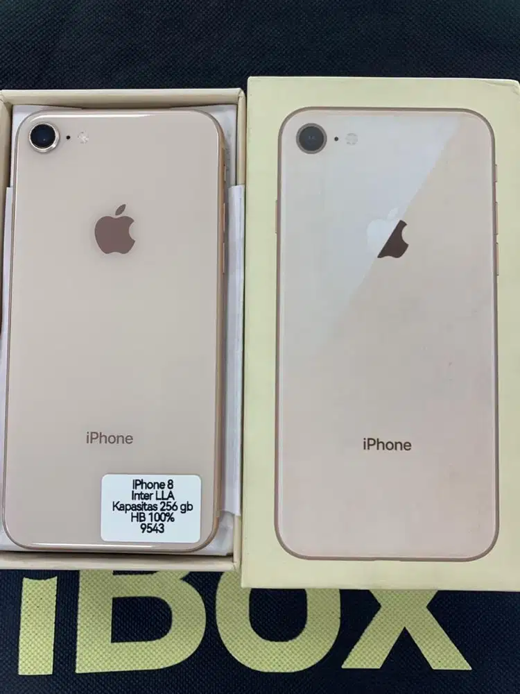 IPhone 8 inter LLA 256gb 100%