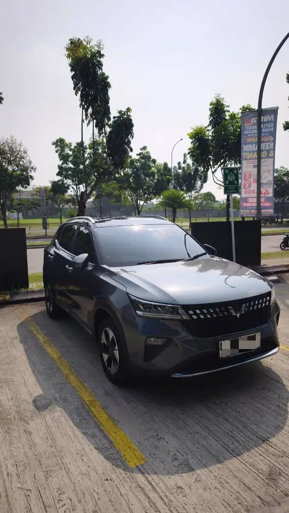 Wuling Alvez EX
