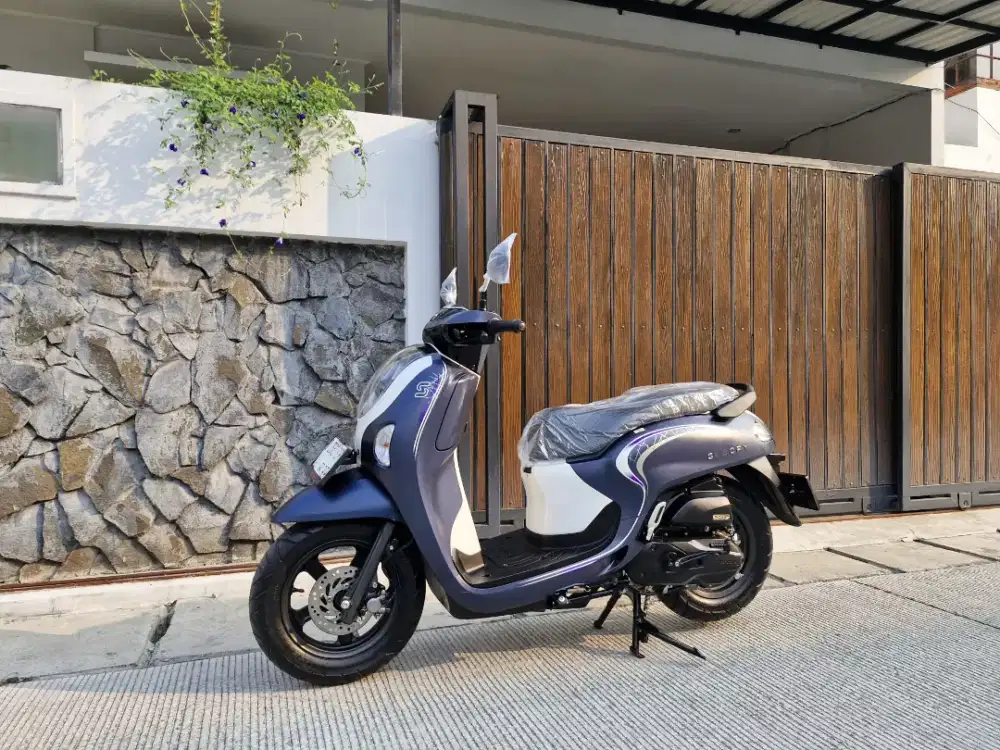 FREE BBN HONDA SCOOPY FASHION TH 2024