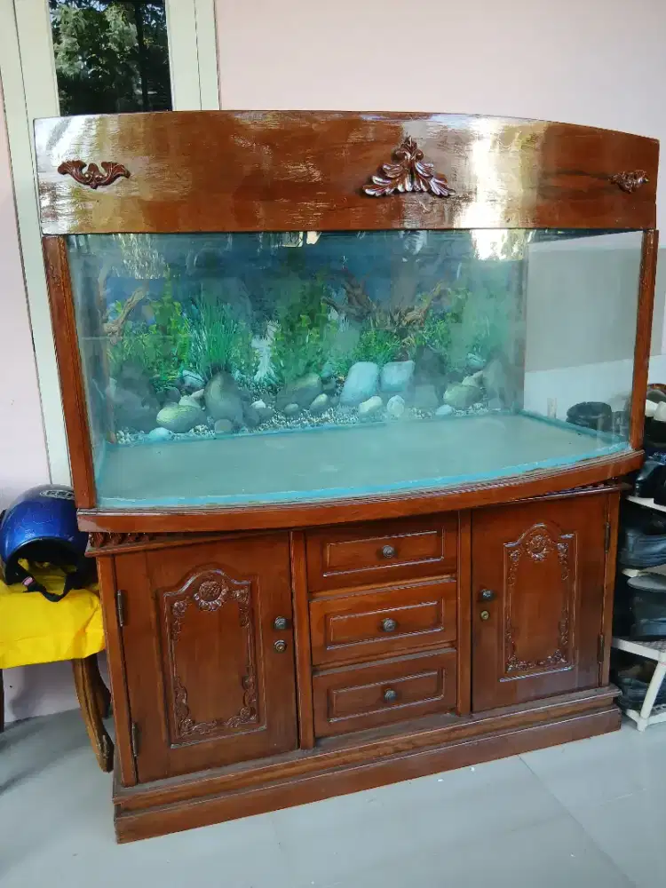 Aquarium Kayu jati