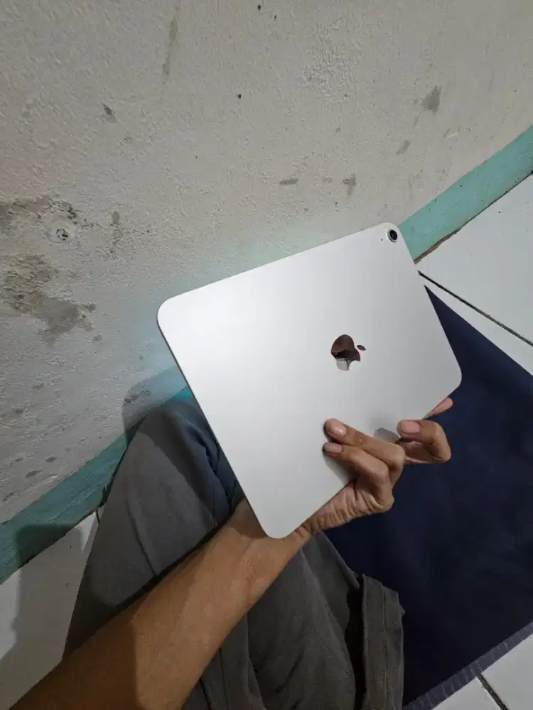 Ipad (A11) wi_fi 256