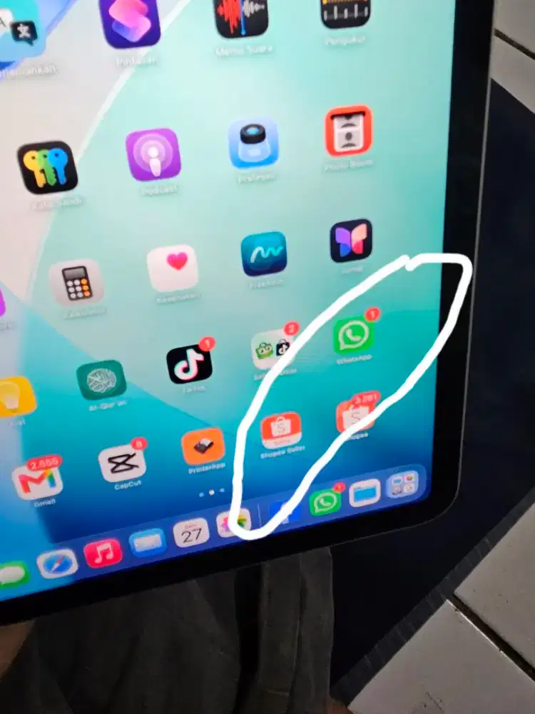 Ipad (A11) wi_fi 256