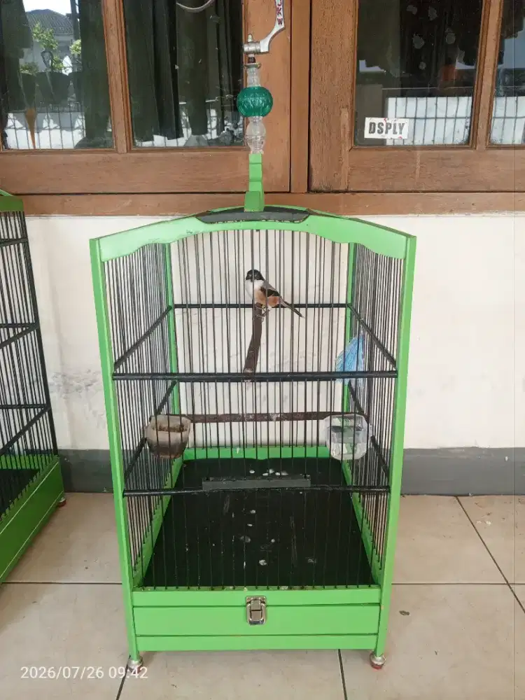 Cendet sembur pastol