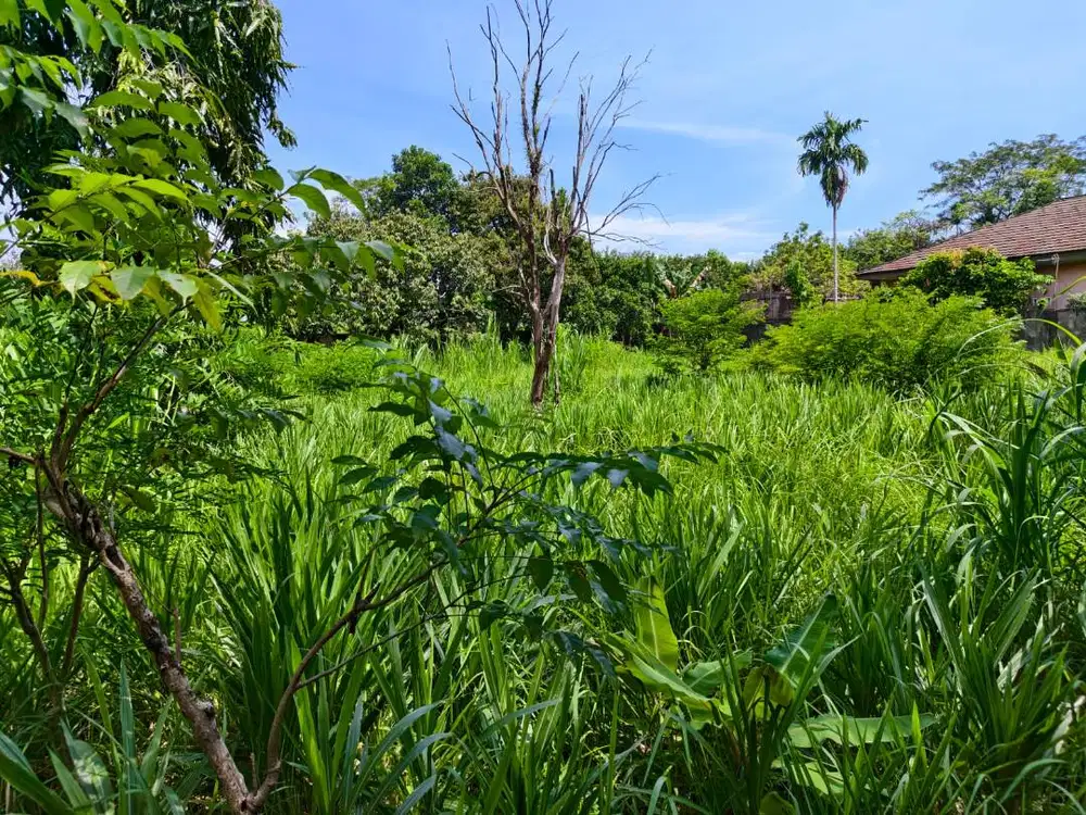 DIJUAL CEPAT TANAH STRATEGIS – SIMPANG IV AIR PACAH, KOTA PADANG