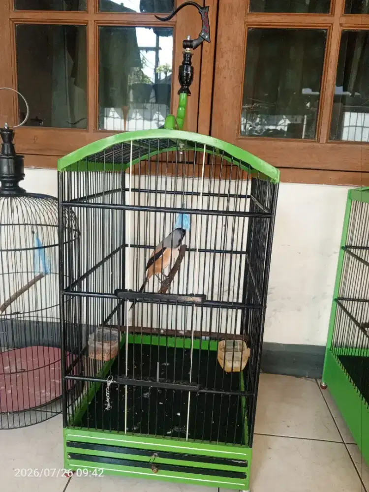 Cendet sembur deker