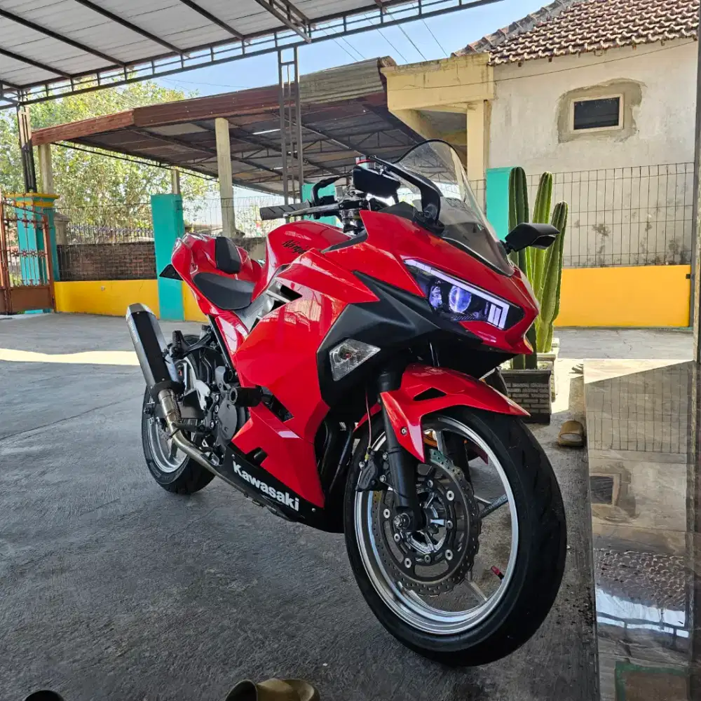2018 New ninja 250