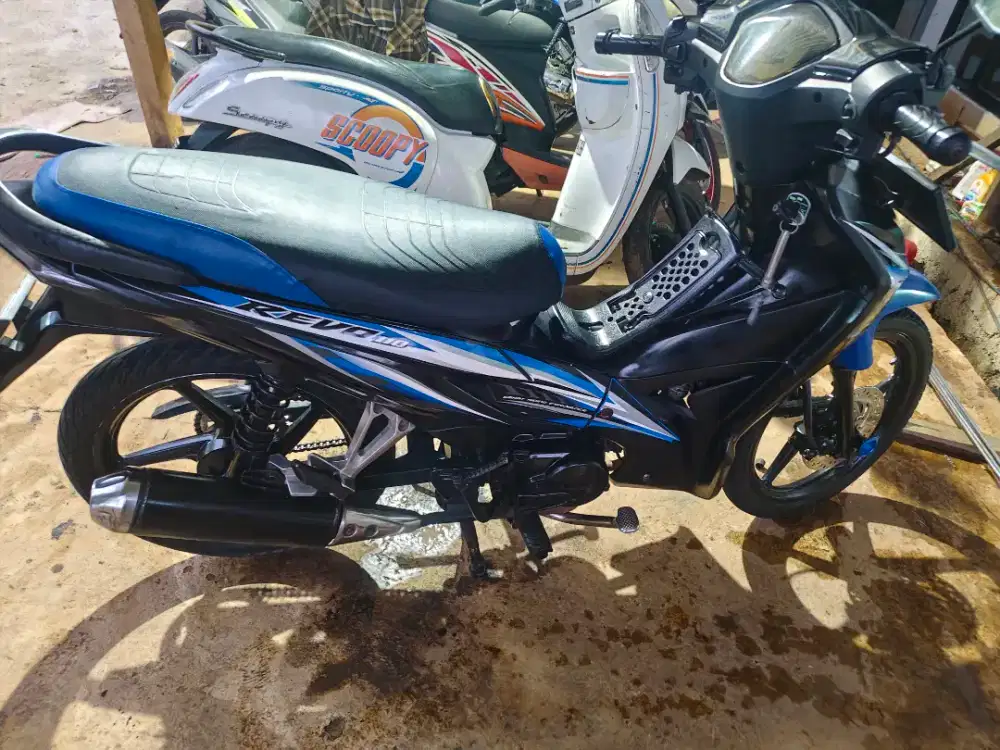 Absolute revo mulus
