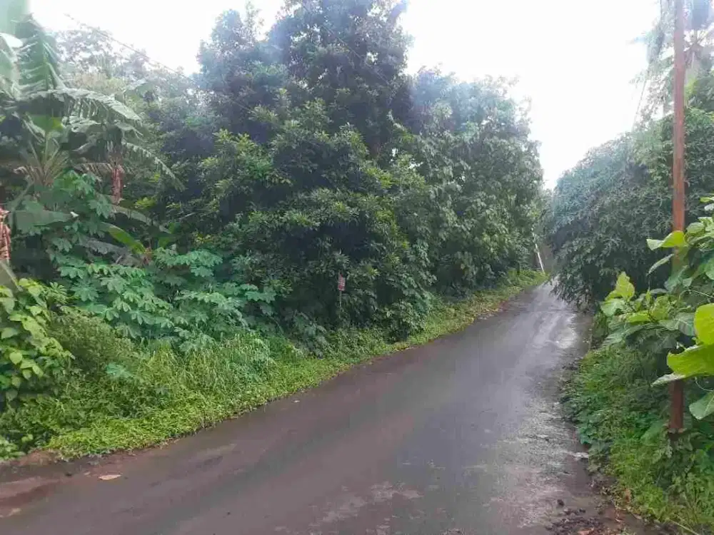 DIJUAL CEPAT TANAH MENARIK DAERAH TOMOHON, HARGA MURAH