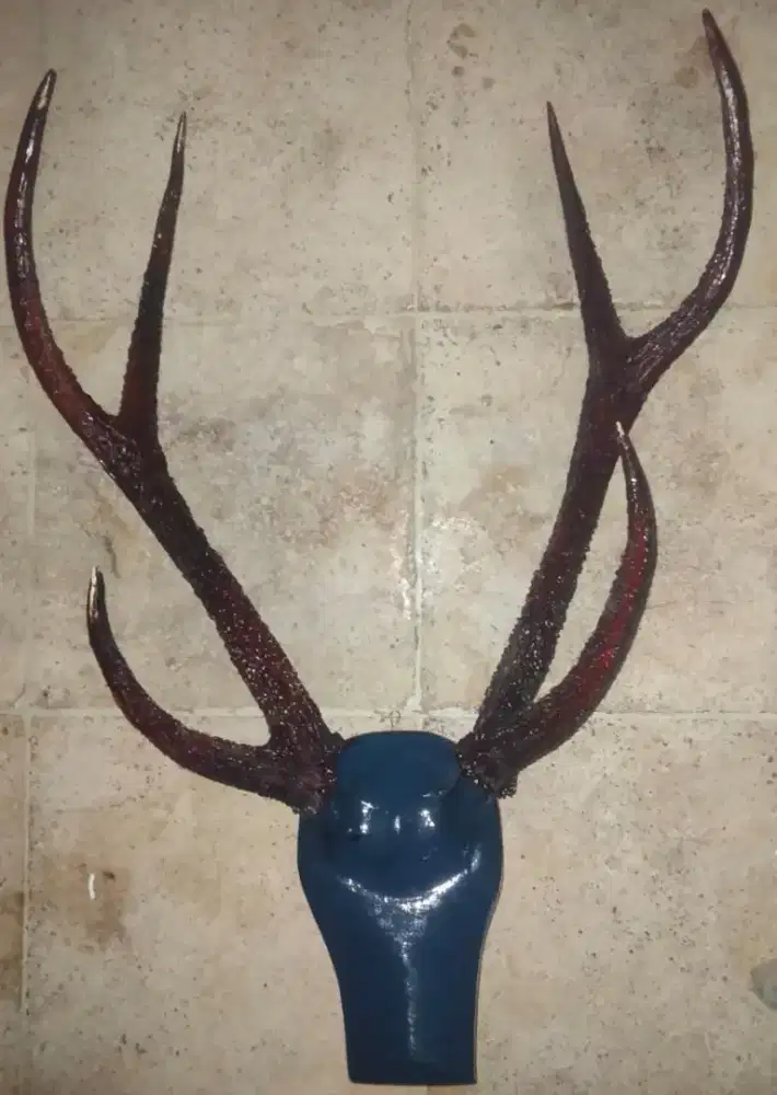 Barang Antik & Koleksi
