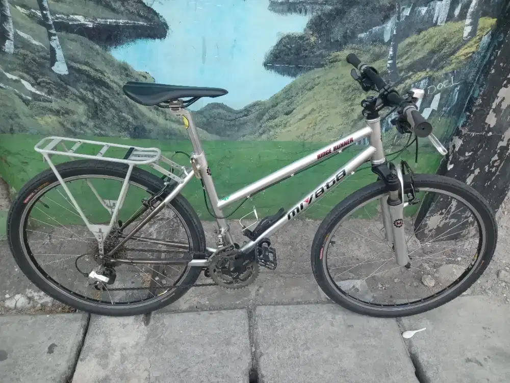 Sepeda Vintage Lady Runner Repaint Miyata