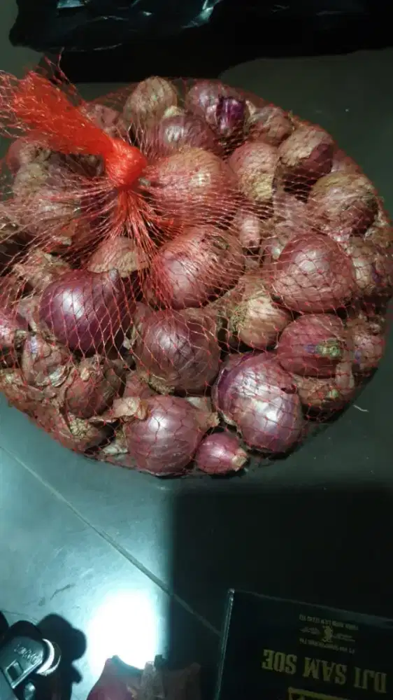 Bawang Merah bima
