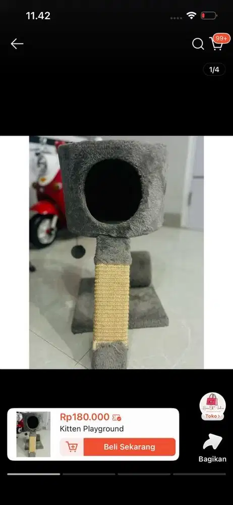 Kitten playground (ace hardware)