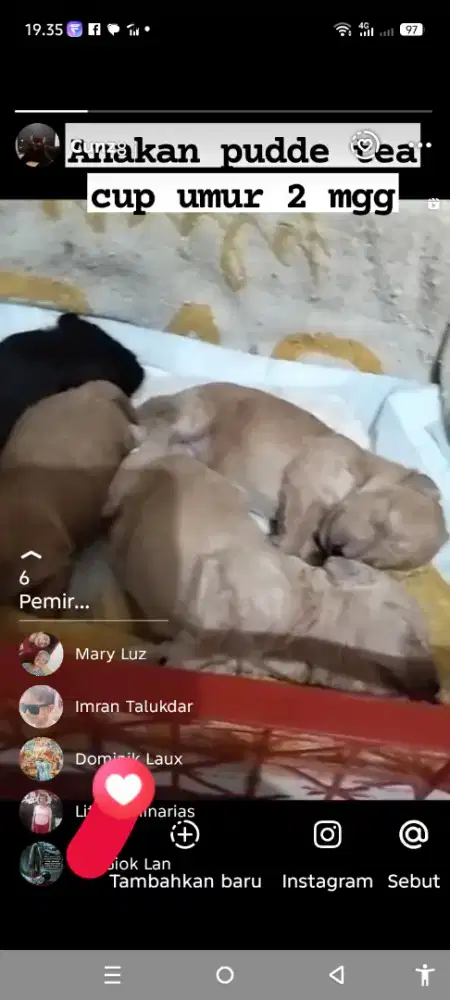 Pudde anakn masih umur 2 mgg nunggu 2 bln