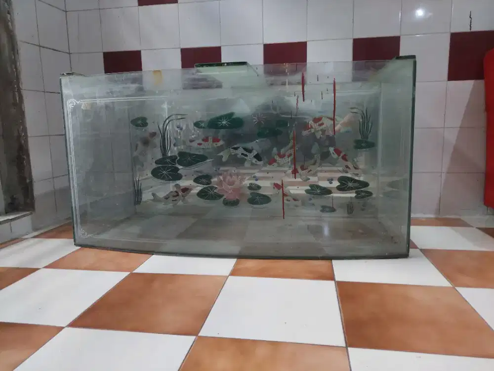 Di jual aquarium ikan