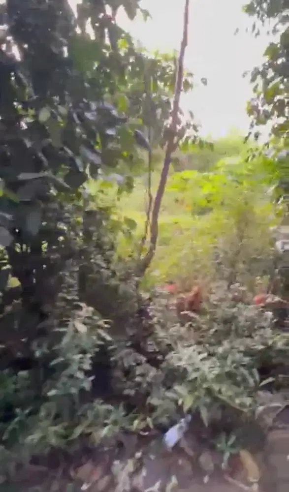 Tanah di kampung dukuh