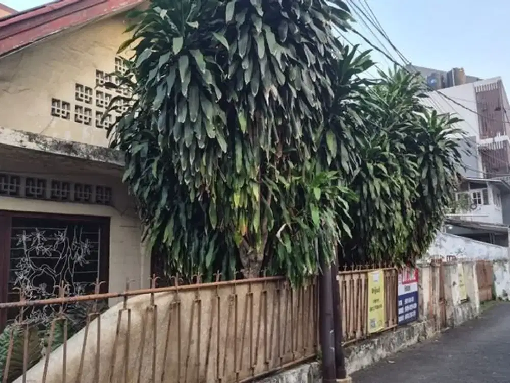 Rumah Tua di Tebet Dalam Hitung Tanah Cocok untuk Kos-Kosan